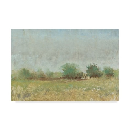 Tim Otoole 'Spring Field Ii' Canvas Art,16x24